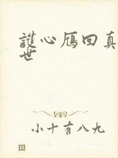 护心雁回真实身世