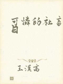 可怜的社畜东度日