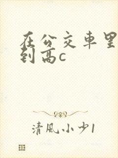 在公交车里c弄到高c