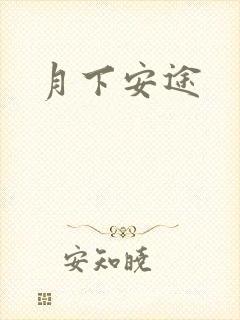 月下安途