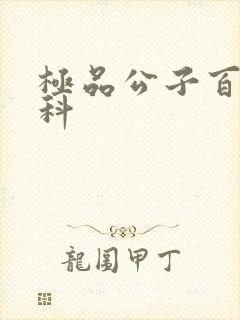 极品公子百度百科