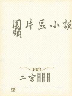 图片区小说区视频