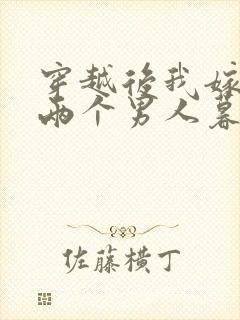 穿越后我嫁给了两个男人暮色酒歌