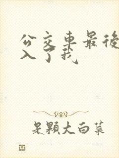 公交车最后一排入了我