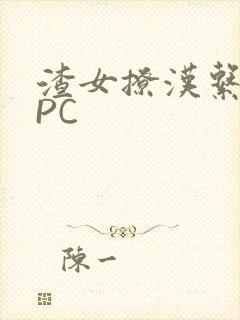 渣女撩汉系统NPC