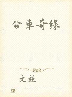 公车奇缘