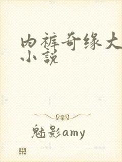 内裤奇缘大团结小说