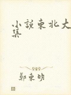 小说东北大炕全集