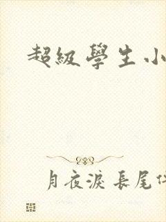 超级学生小说