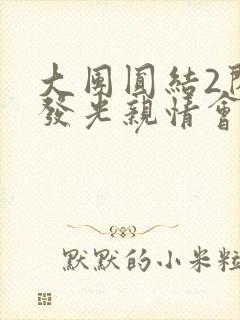 大团圆结2闪闪发光亲情会