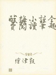 酸梅小说全文免费阅读笔趣阁