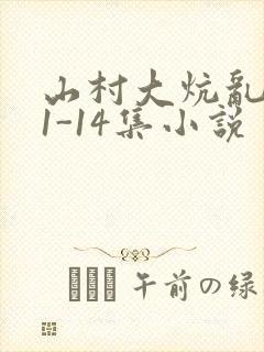 山村大炕乱肉续1-14集小说