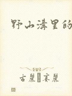 野山沟里的村庄