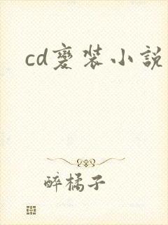 cd变装小说