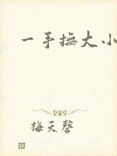 一手抚大小说