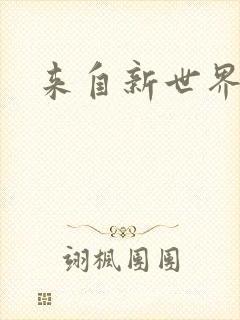 来自新世界小说