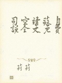 司空靖苏月汐小说全文免费阅读