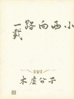 一路向西小说下载