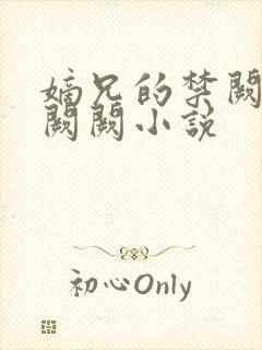 嫡兄的禁阙 华阙阙小说