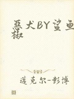 恶犬BY鲨鱼辣椒