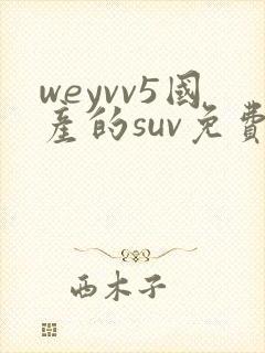 weyvv5国产的suv免费