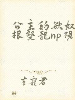 公主的欲奴h四根双龙np视频