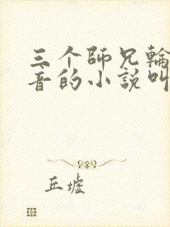 三个师兄轮流上音的小说叫什么