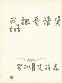 我把爱情煲成汤txt
