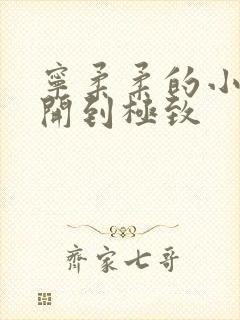 宁柔柔的小泬撑开到极致