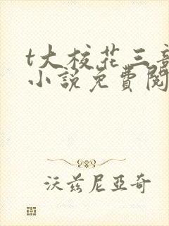 t大校花三部曲小说免费阅读全文