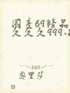 国产69精品久久久久999小说
