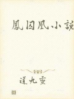 凤囚凰小说