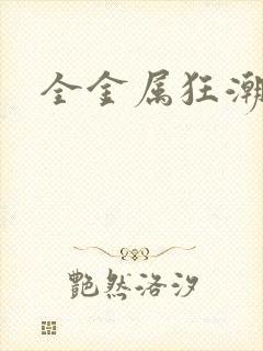 全金属狂潮小说