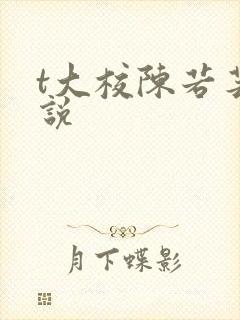 t大校陈若芸小说