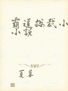 霸道总裁小娇妻小说