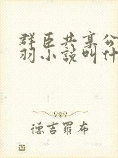 群臣共享公主银羽小说叫什么