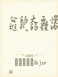 公的大龟慢慢挺进我的体内