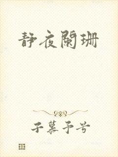静夜阑珊