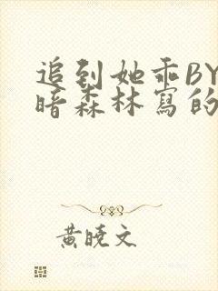 追到她乖BY黑暗森林写的小说