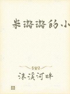 米璐璐的小说