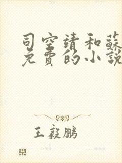 司空靖和苏月汐免费的小说笔趣阁