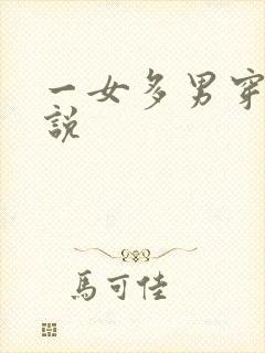 一女多男穿越小说
