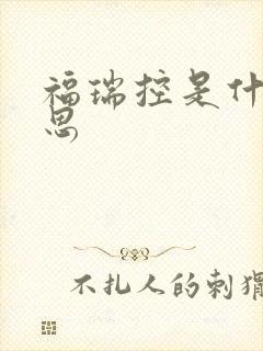 福瑞控是什么意思