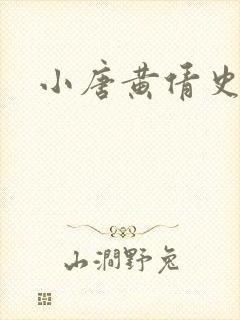 小唐黄倩史