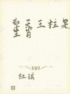 擎天玉柱是什么生肖