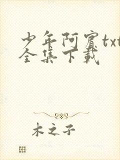 少年阿宾txt全集下载