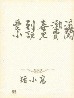 爱到春潮滚滚来小说免费阅读