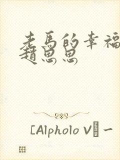 老马的幸福生活赵思思