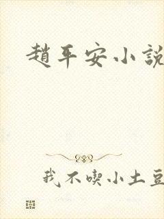 赵平安小说主角