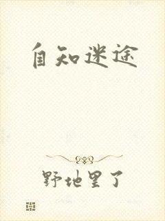 自知迷途